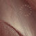 02 BROWN FLARE